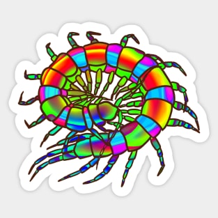 Rainbow Curled-Up Centipede Sticker